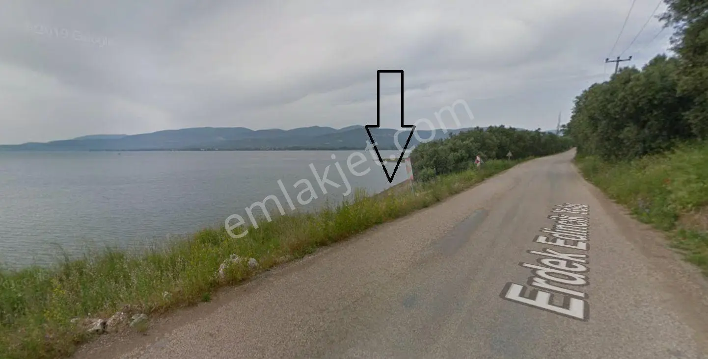 Balıkesir Bandırma Edincik'te Sahil Yolu Üzerinde 81 M2 Satılık Zeytinlik Denize Sıfır