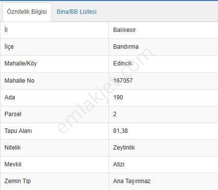 Balıkesir Bandırma Edincik'te Sahil Yolu Üzerinde 81 M2 Satılık Zeytinlik Denize Sıfır - Görsel 3