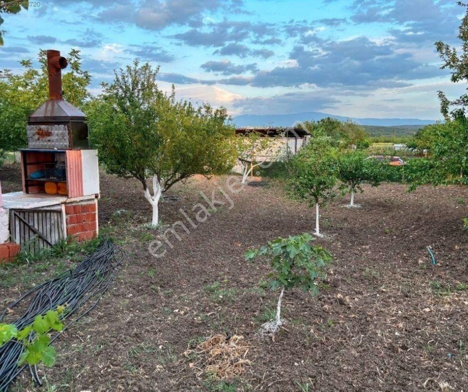 Satılık Mudanya Küçükyenice'de Yaşam Ve Yatırım Fırsatı - Görsel 10