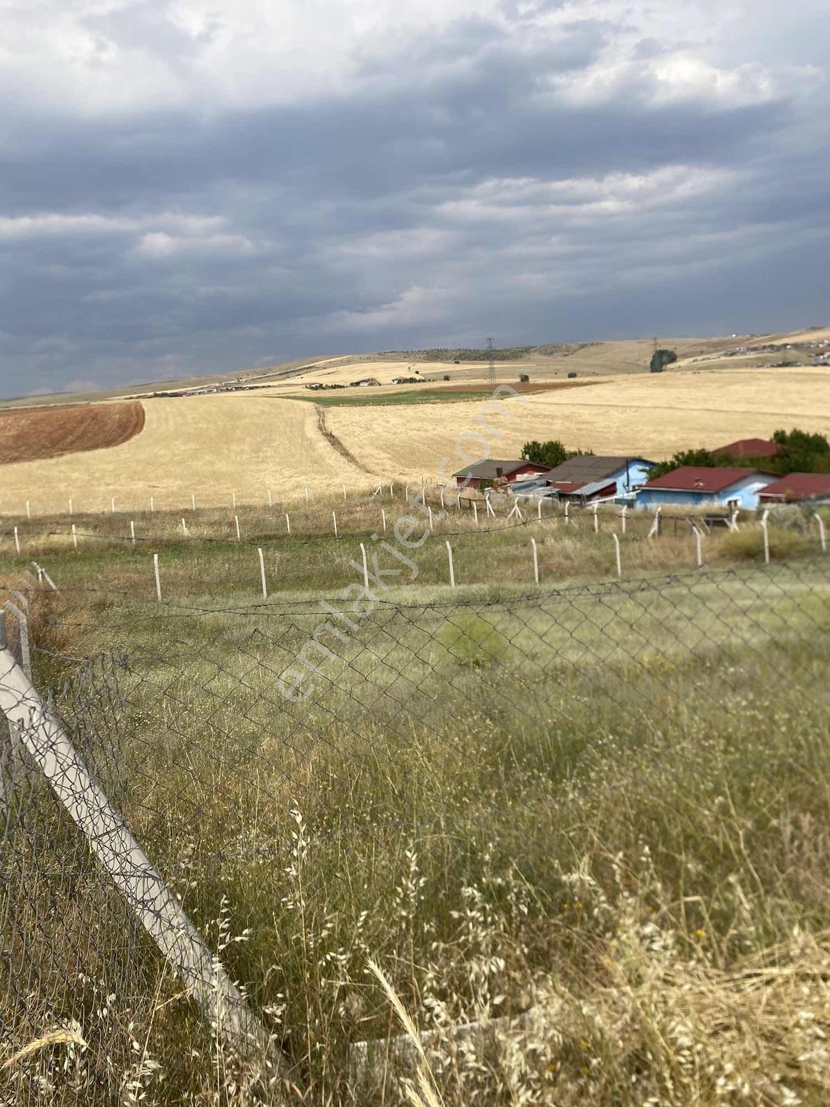 Lider'den Kavaklı'da 1000 M2 Telle Çevrili Köşe Parsel Kupon!! - Görsel 22