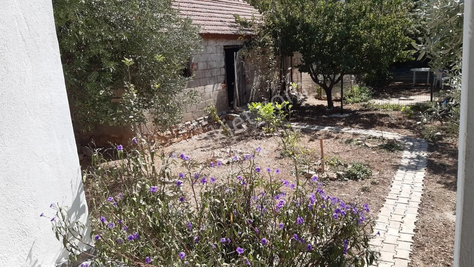 Selçuk Zeytinköy De Satılık Müstakil Ev - Görsel 11