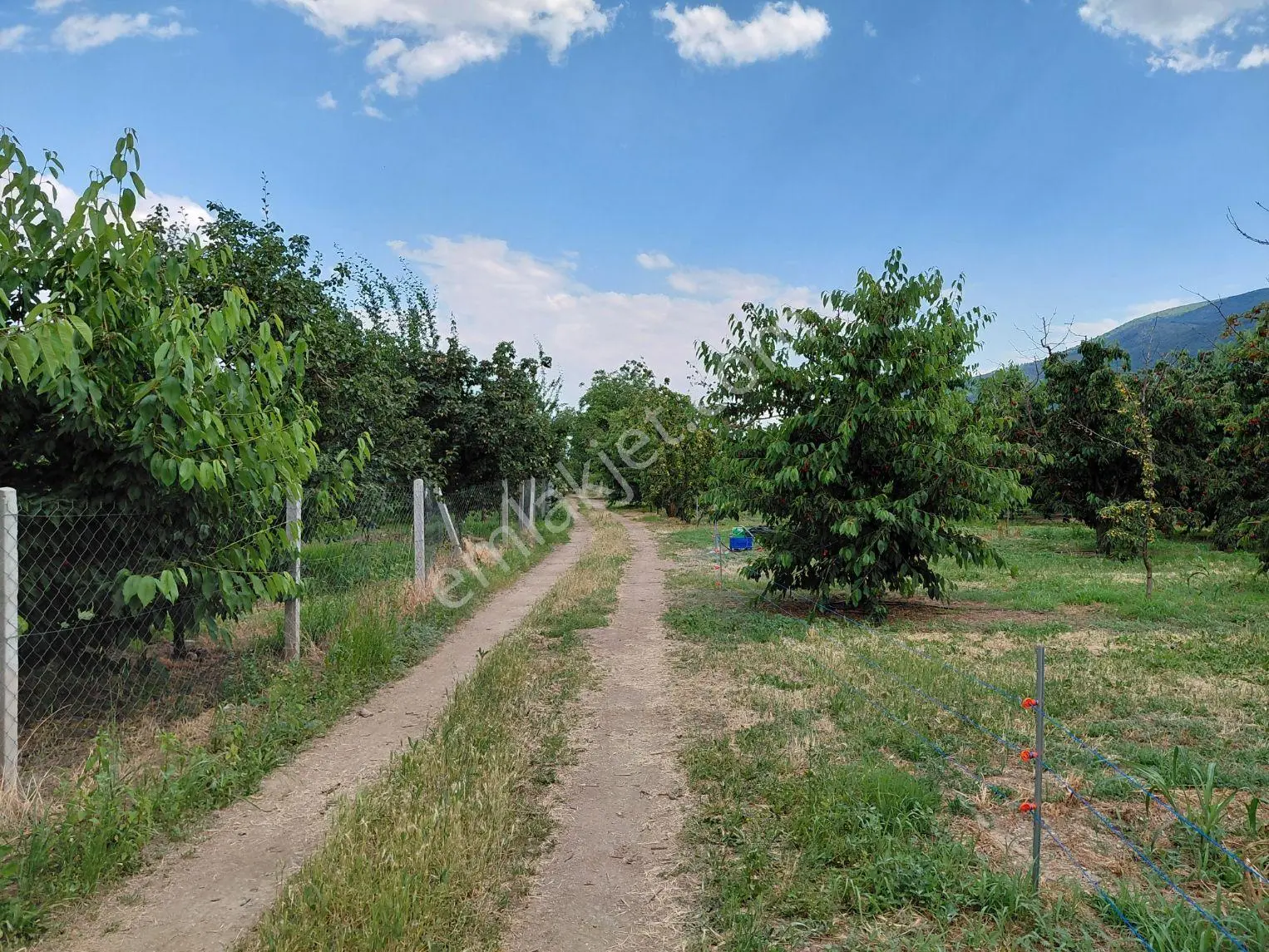 Atakent Mahallesi 2536 M² Meyve Bahçesi - Görsel 28