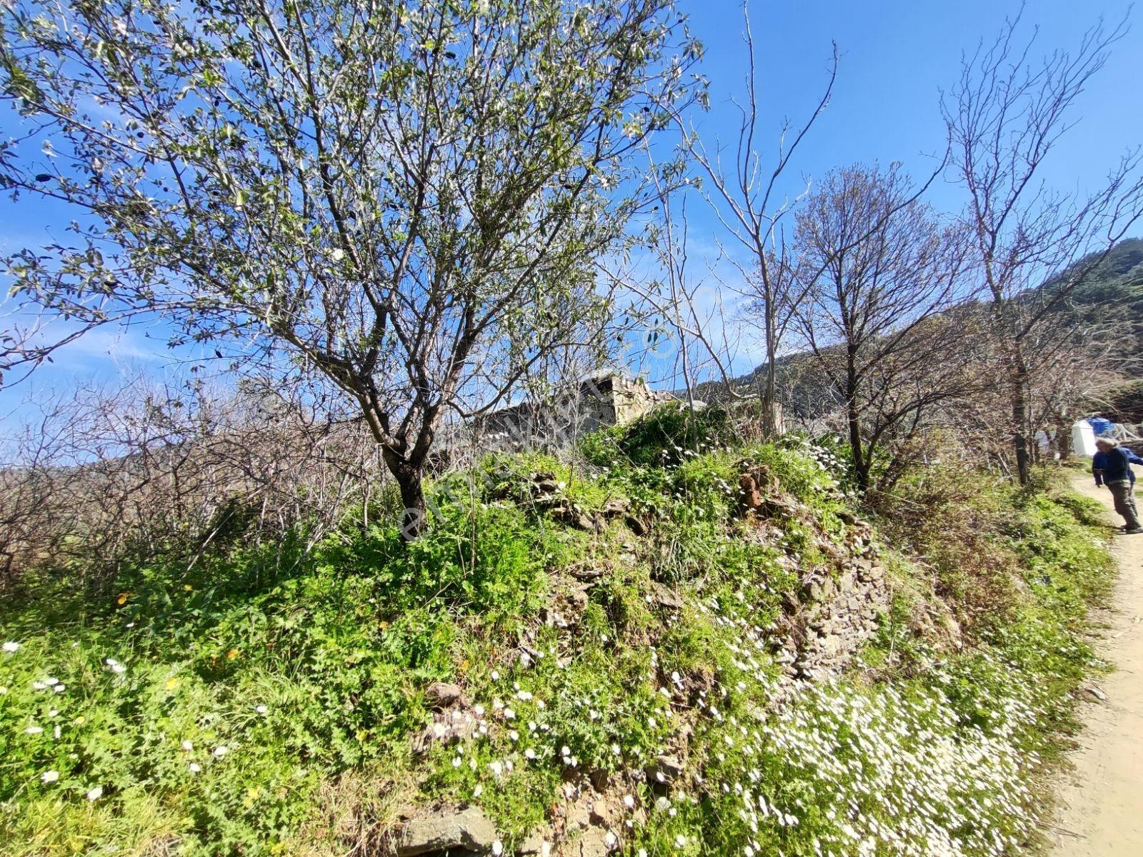 Selçuk Acarlar Mevkiinde Satılık Bahçe