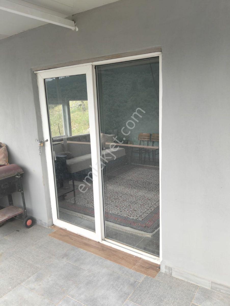 Selçuk Çamlık Köyünde Satılık Zeytinlik - Görsel 12