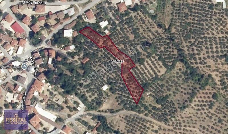 Mudanya Akköy'de 2.985 M² Yatırımlık Satılık Arsa - Görsel 11