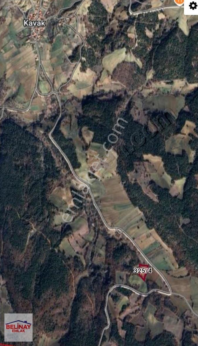 Gölpazarı Kavak Köyünde Asfalt Kenarı 5006 M2 Ceviz Bahçesi