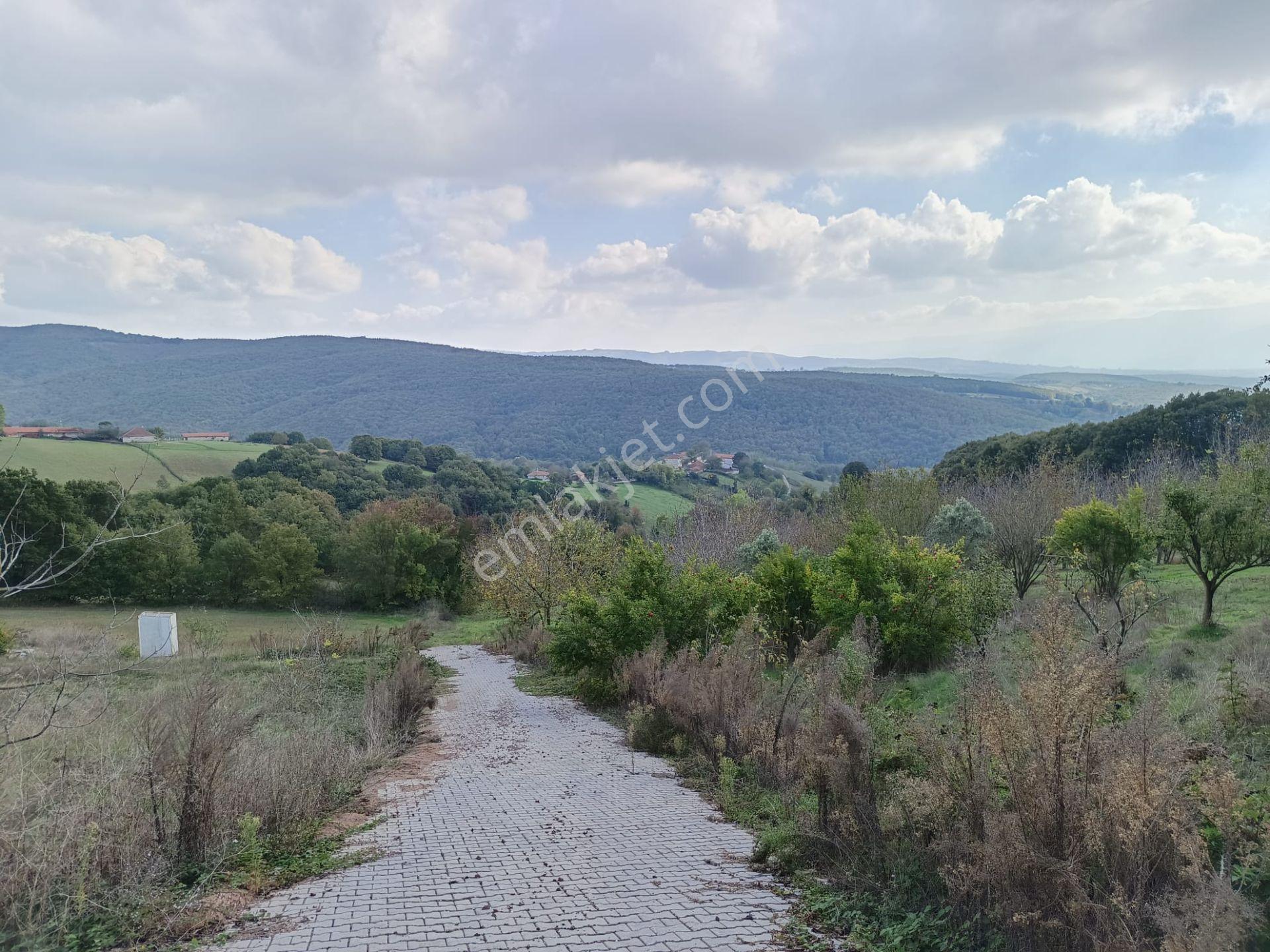 İzmit Dağ Köyde Satilik Arazi - Görsel 13