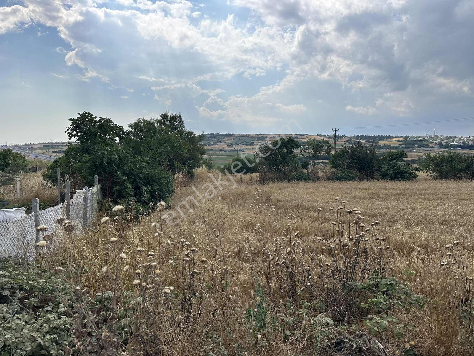 Fenerköyde Harika Konum Tek Tapu Elektrik Su Gaz Yola Cephe - Görsel 8