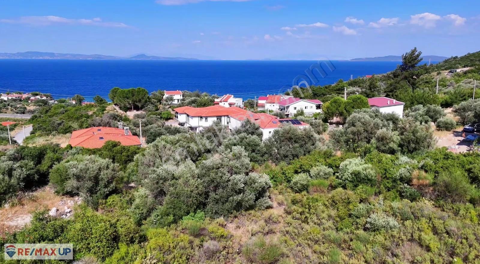 Karaburun İnecik Mah. 473 M² Deniz Manzaralı Arsa - Görsel 3