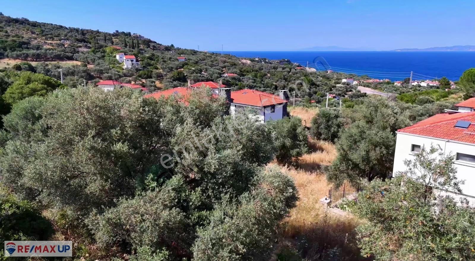 Karaburun İnecik Mah. 473 M² Deniz Manzaralı Arsa - Görsel 7