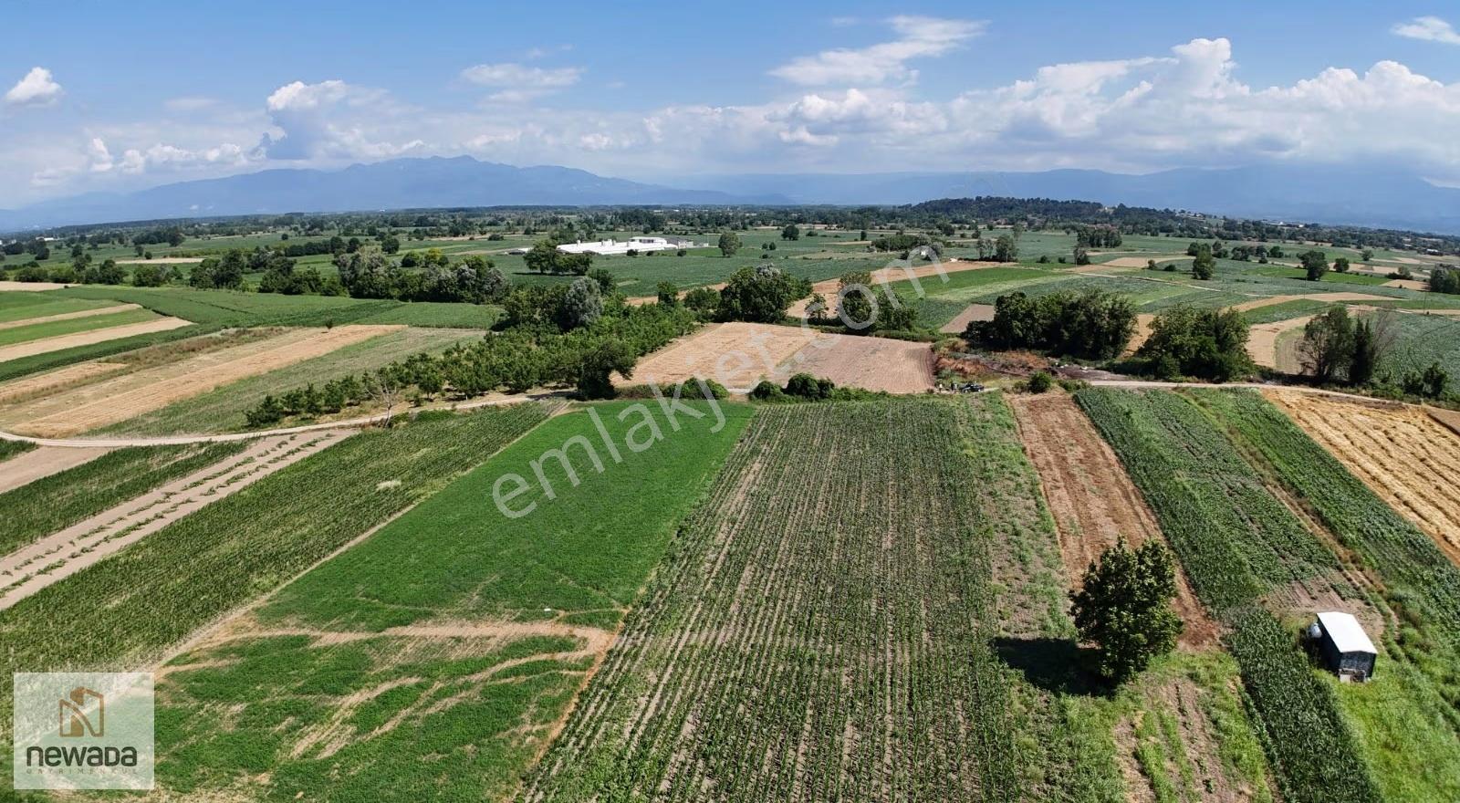 Budaklar'da 3.800m² Yol Cepheli Satılık Tarla - Görsel 2