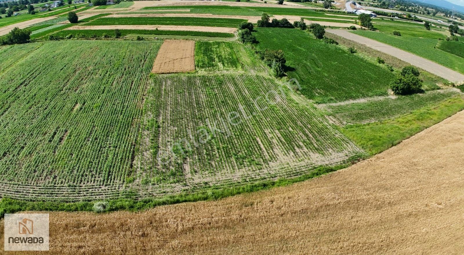 Adapazarı Budaklar Mahallesi'nde 3480m2 Satılık Tarla