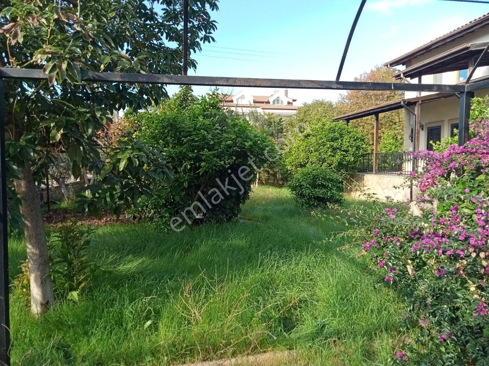 Falcon Dan Akarca Da Fırsat 714m²arsa - Görsel 13