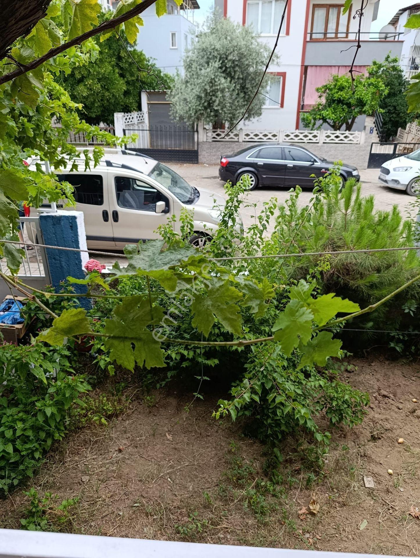 Nazilli Merkezde Sahibinden Müstakil Bahçeli Ev - Görsel 12