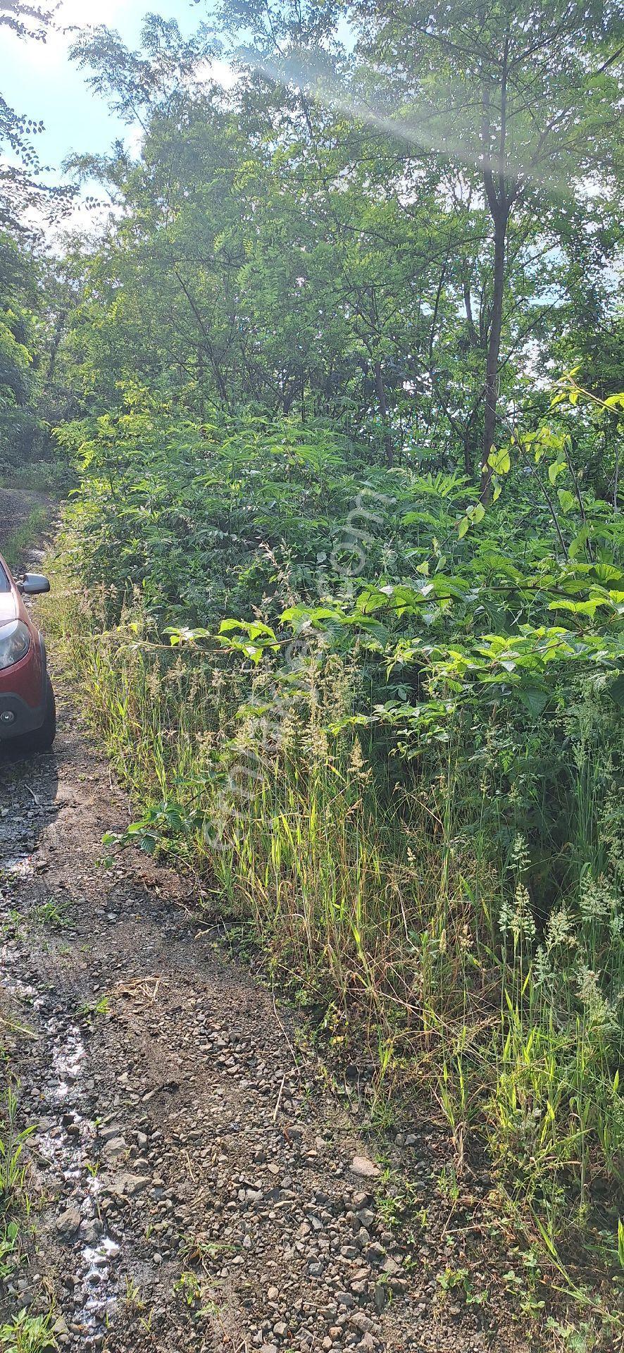 Şahinoǧlu Emlaktan Akçaabat Uğurlu'da 4.000 M2. Çok Uygun Fındıklık - Görsel 10