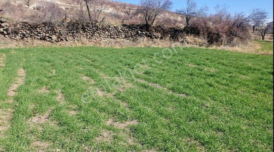 Meram Yeşildere'de Doğa Manzaralı 410 M² Satılık Bağ Bahçe - Görsel 4