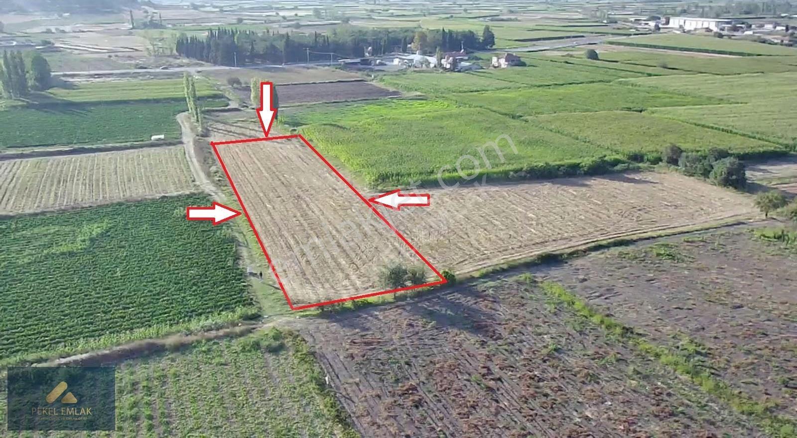 Pekel Emlak'tan Çavuş Mah. Satılık 3310m2 Arazi - Görsel 2