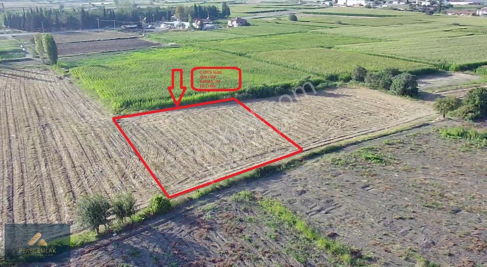 Bigadiç Çavuş Mah.imar Planı Sınırında Satılık 1820 M2 Arazi - Görsel 5