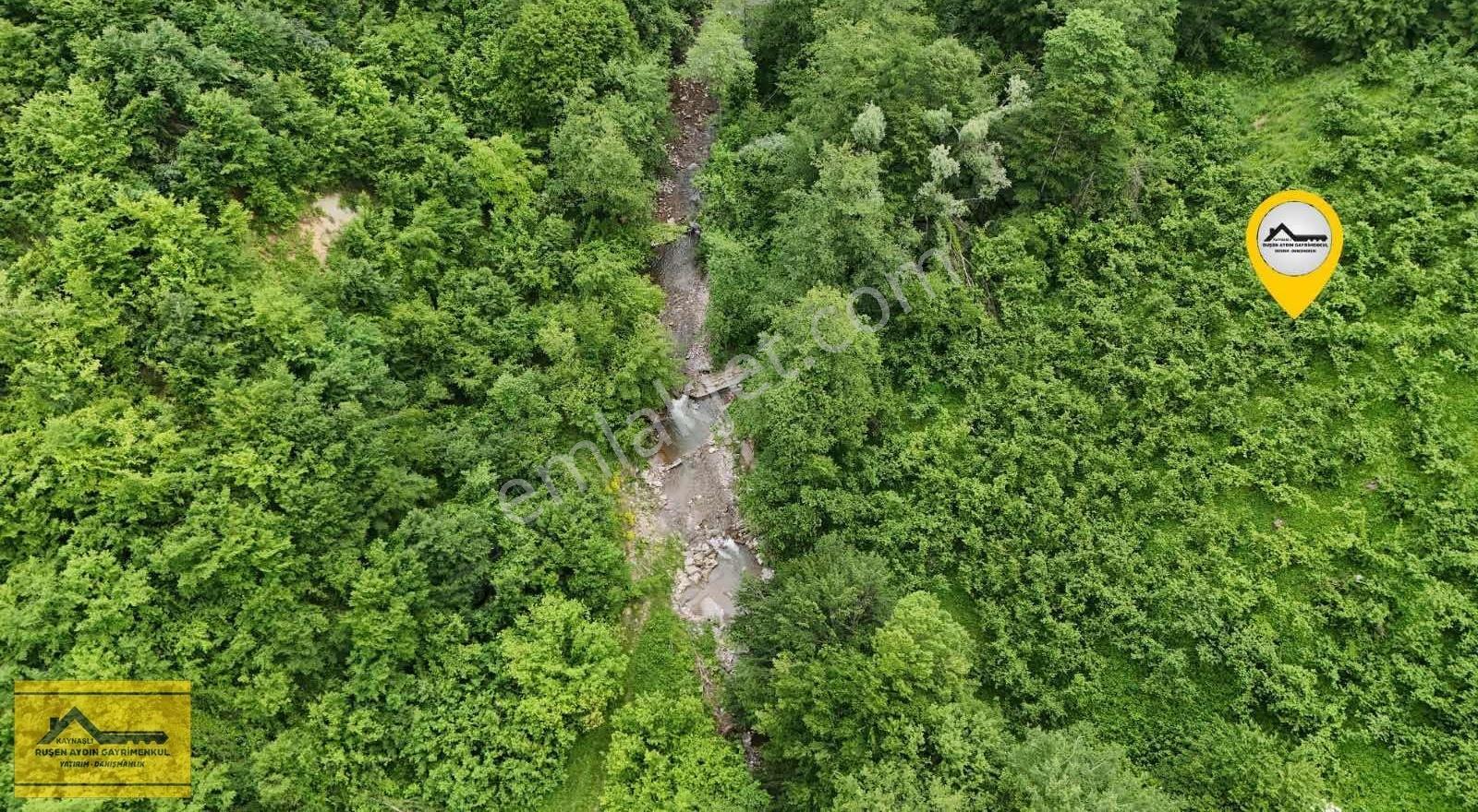Ruşen Aydın Gyd'dan Kaynaşlı Altunköy'de Satılık Arazi - Görsel 11