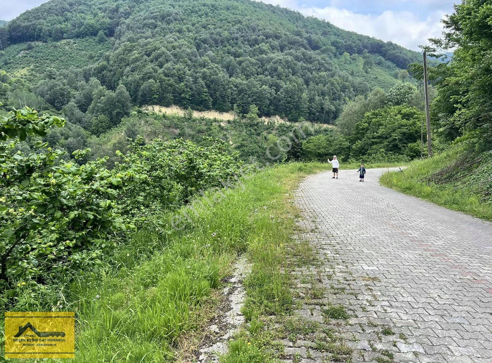 Ruşen Aydın Gyd'dan Kaynaşlı Altunköy'de Satılık Arazi - Görsel 8