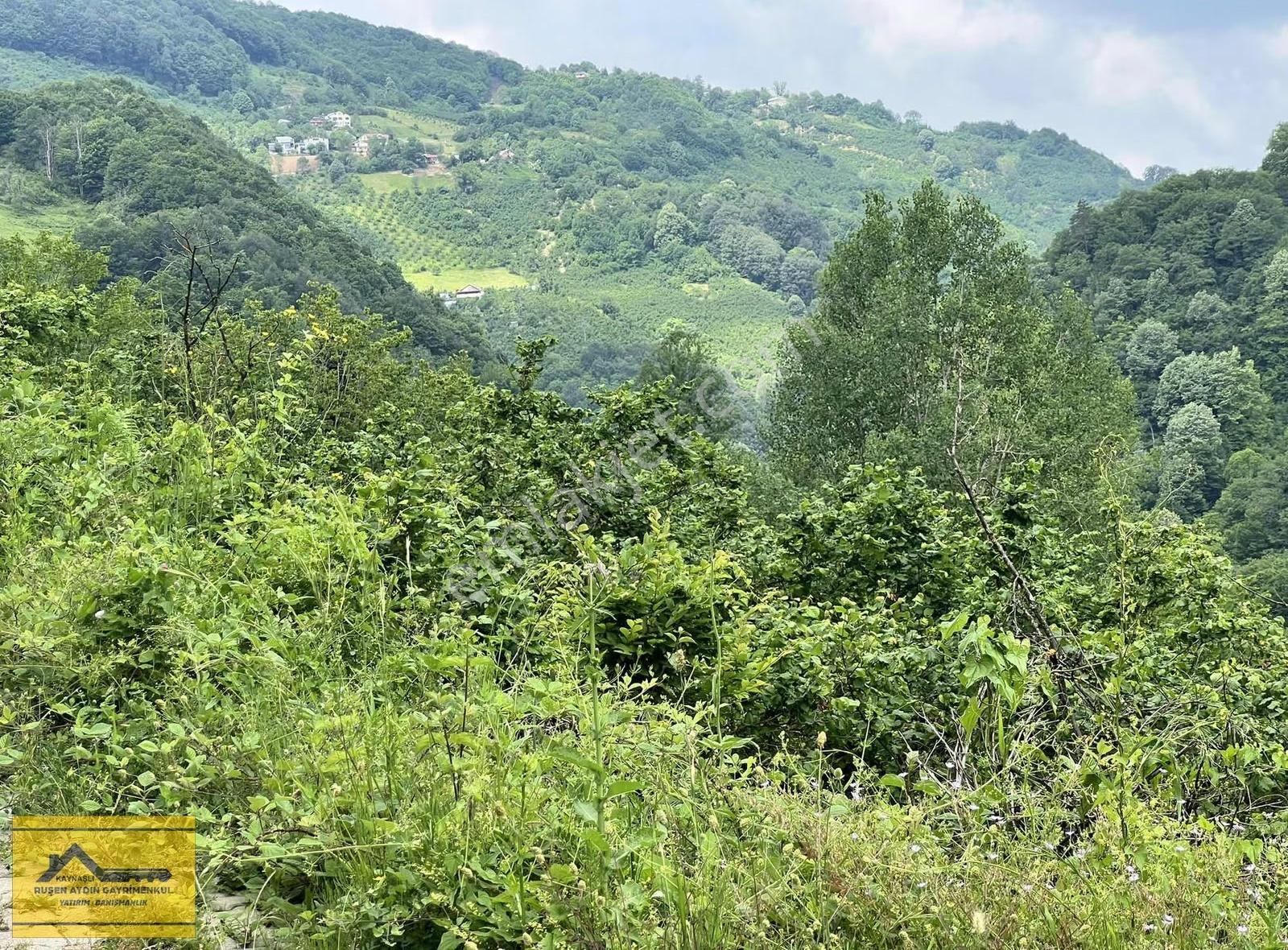 Ruşen Aydın Gyd'dan Kaynaşlı Altunköy'de Satılık Arazi - Görsel 24