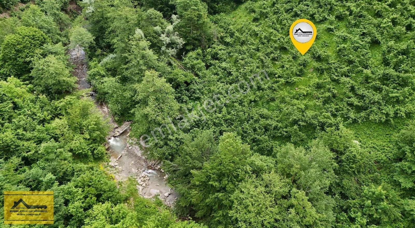 Ruşen Aydın Gyd'dan Kaynaşlı Altunköy'de Satılık Arazi - Görsel 2