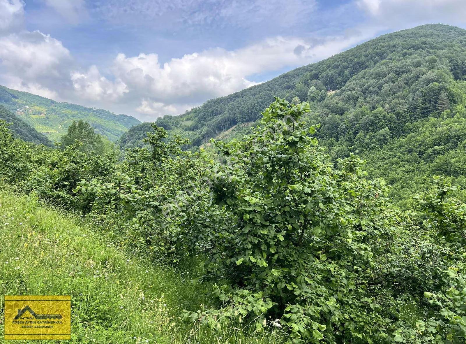 Ruşen Aydın Gyd'dan Kaynaşlı Altunköy'de Satılık Arazi - Görsel 31