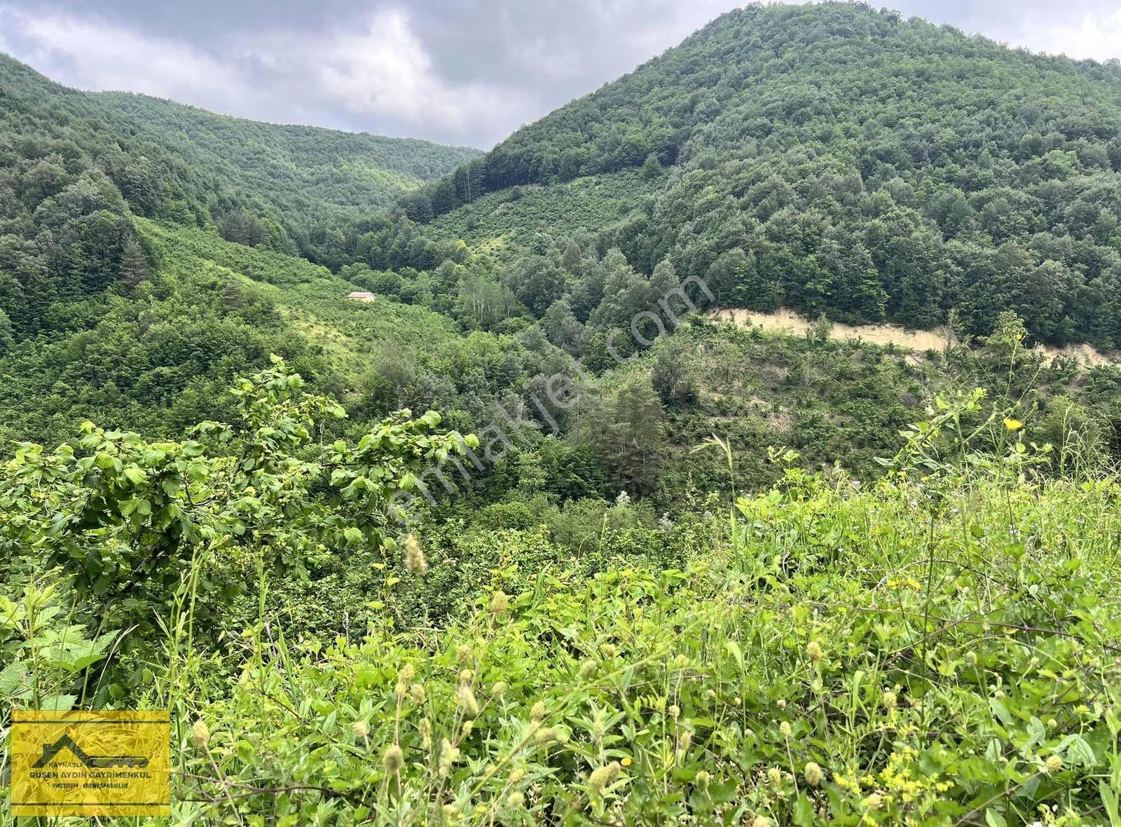 Ruşen Aydın Gyd'dan Kaynaşlı Altunköy'de Satılık Arazi - Görsel 21
