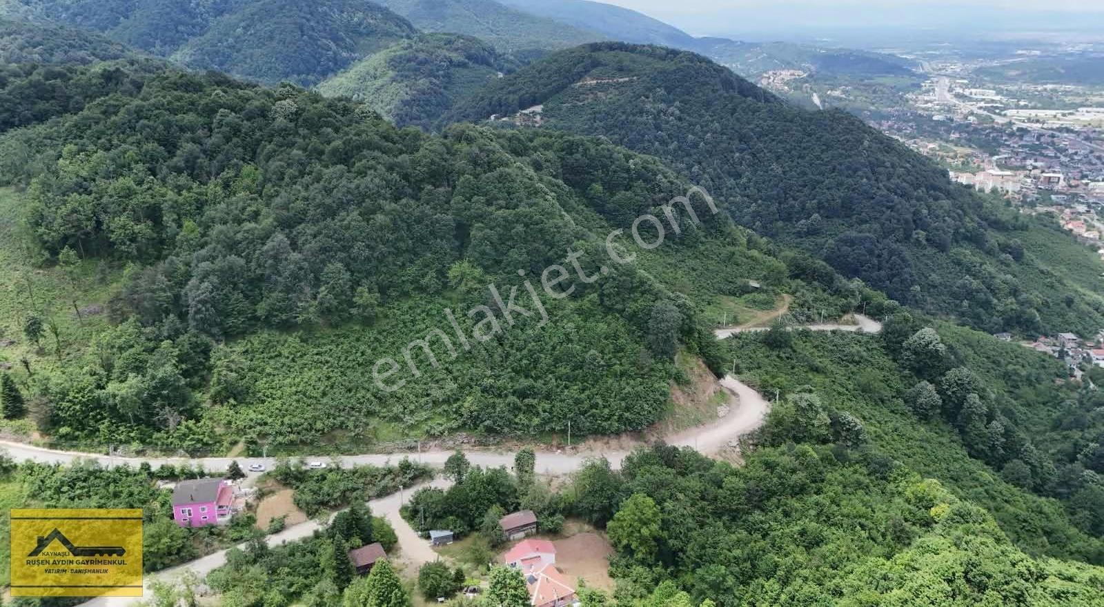 Ruşen Aydın Gyd'dan Kaynaşlı Eskiköy'de Satılık 3257 M2 Arazi - Görsel 3