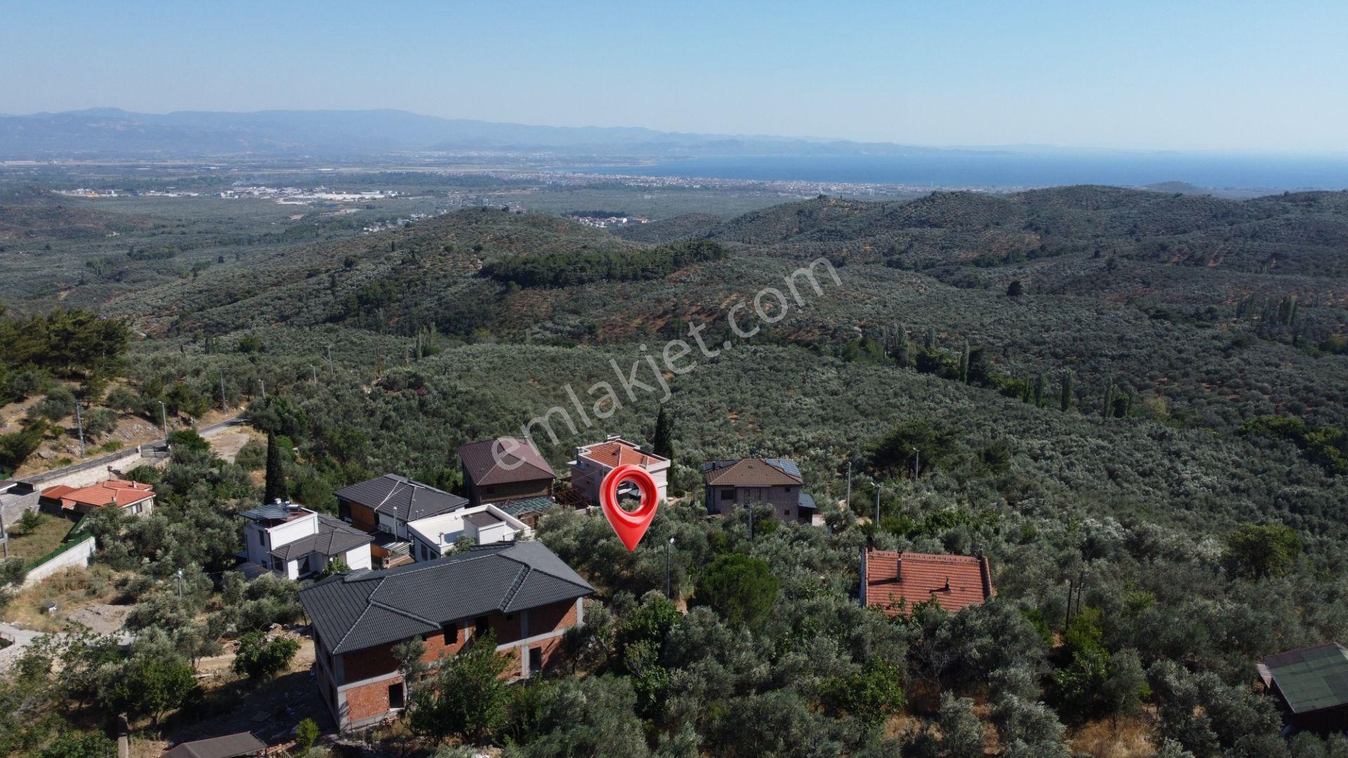 Edremit Pınarbaşı'nda Full Körfez Manzaralı %40 İmarlı 642 M² Villalık Fırsat Arsa - Görsel 10