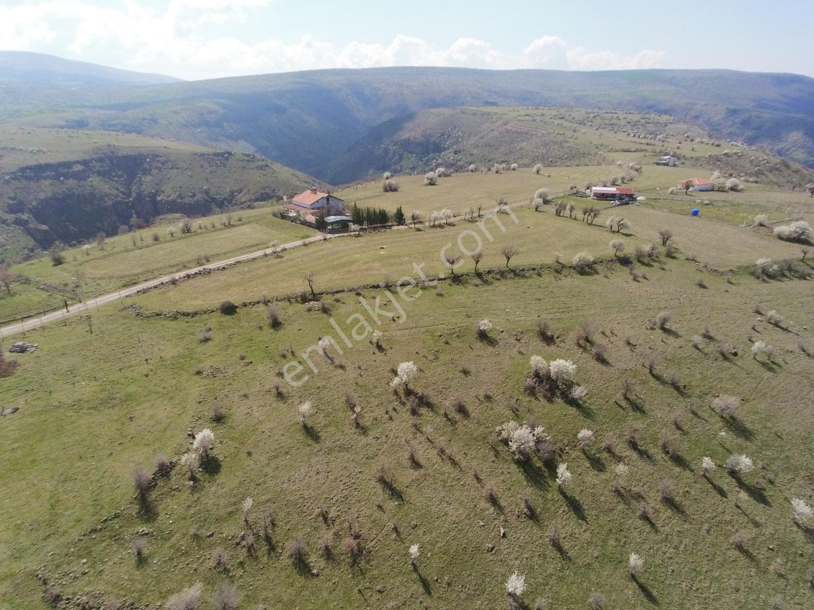 Ayaşta Tek Tapu Köy İçi 2.262 M2 Manzaralı Tarla - Görsel 13