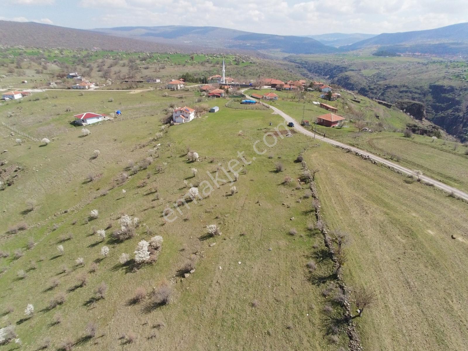 Ayaşta Tek Tapu Köy İçi 2.262 M2 Manzaralı Tarla - Görsel 9