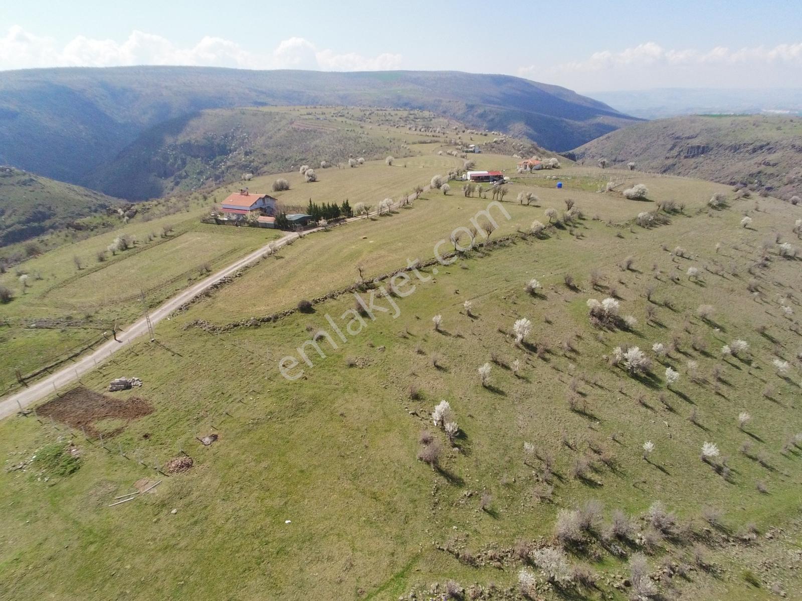 Ayaşta Tek Tapu Köy İçi 2.262 M2 Manzaralı Tarla - Görsel 12