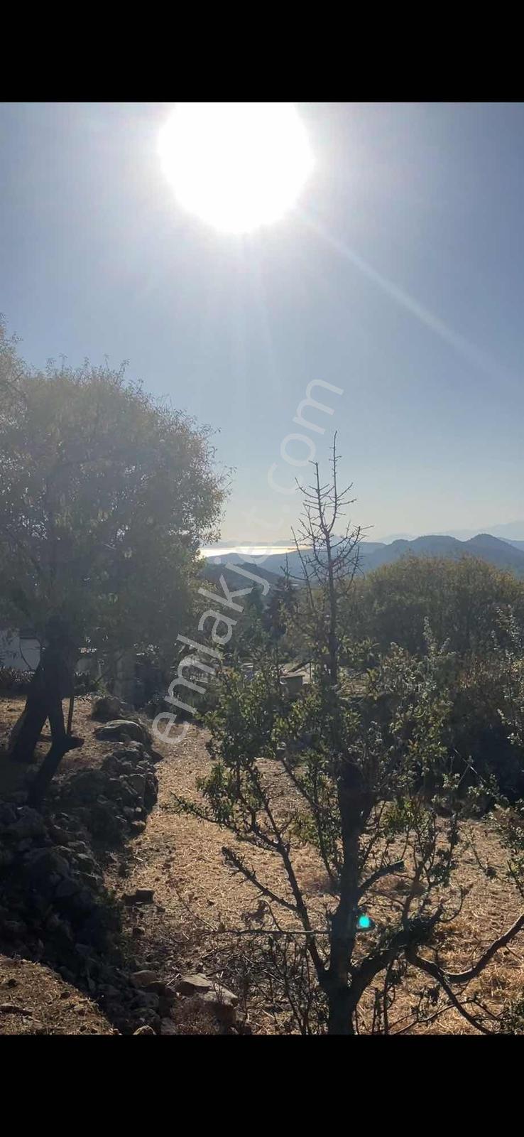 Söğütte Panaromik Deniz Ve Symi Manzaralı Yatırımlık Fırsat - Görsel 3