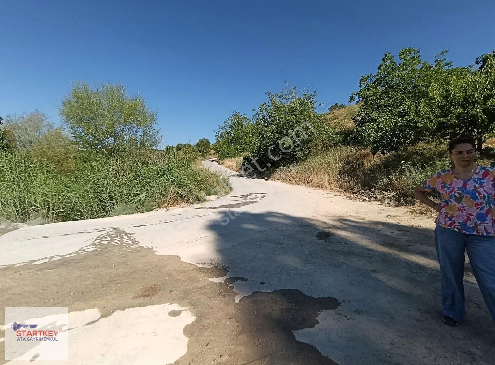 İzmir Kemalpaşa Damlacık Mahallesin'de Satılık Bahçe. - Görsel 12