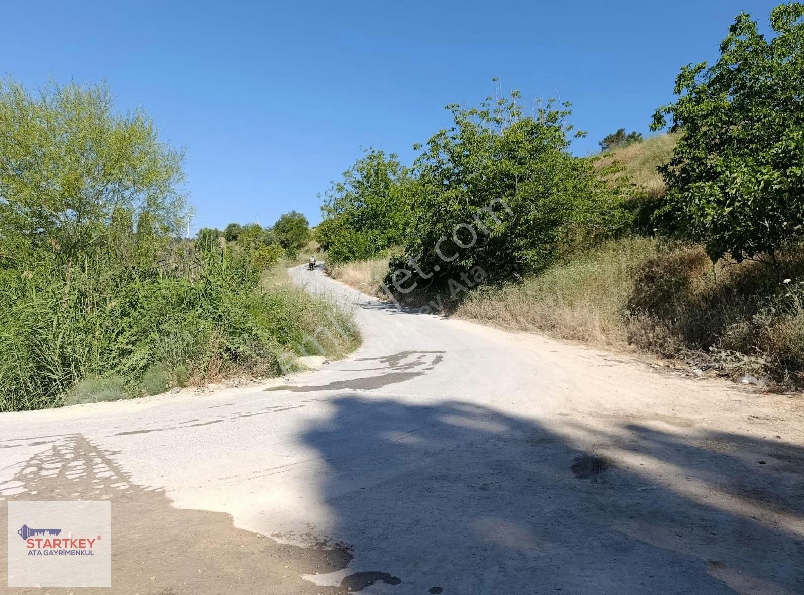 İzmir Kemalpaşa Damlacık Mahallesin'de Satılık Bahçe. - Görsel 13