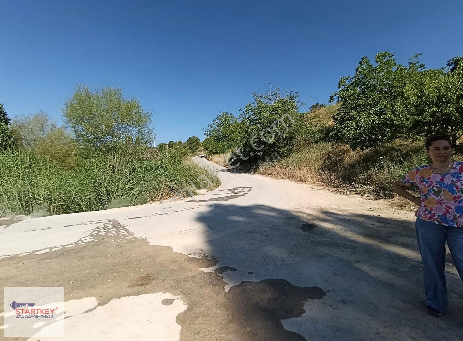 İzmir Kemalpaşa Damlacık Mahallesin'de Satılık Bahçe. - Görsel 4