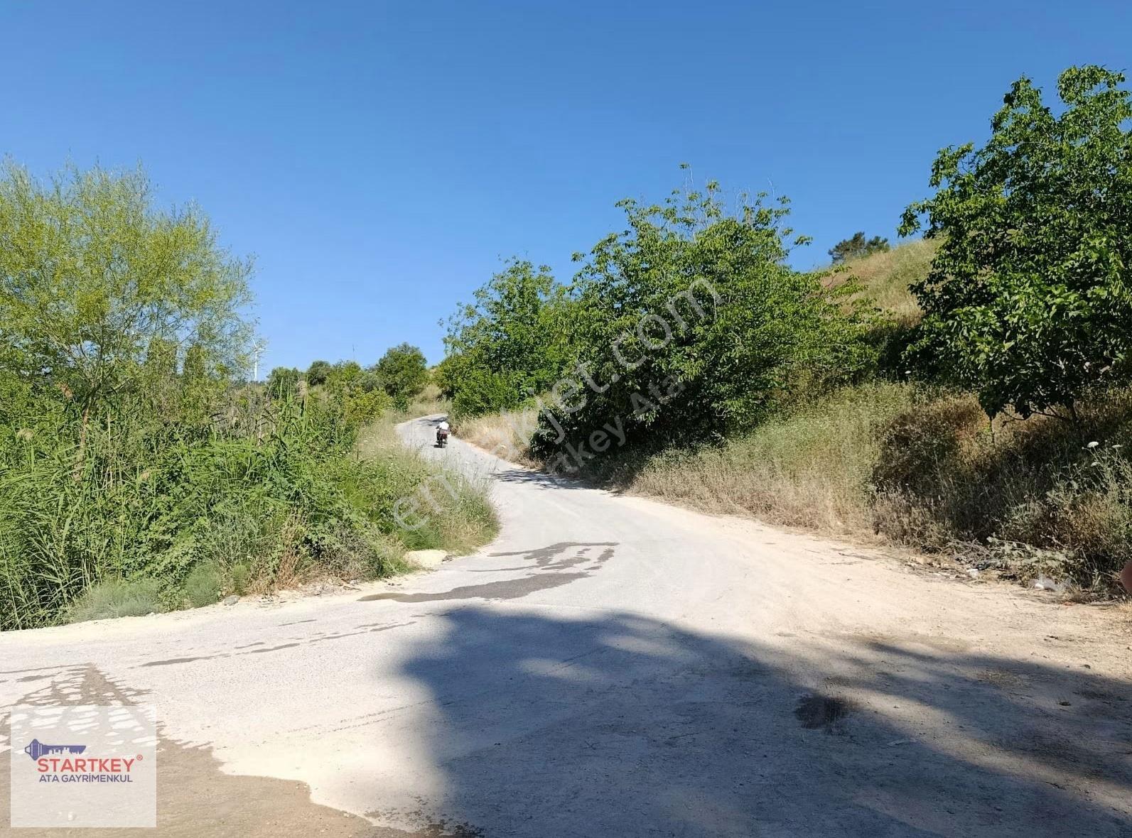İzmir Kemalpaşa Damlacık Mahallesin'de Satılık Bahçe. - Görsel 15