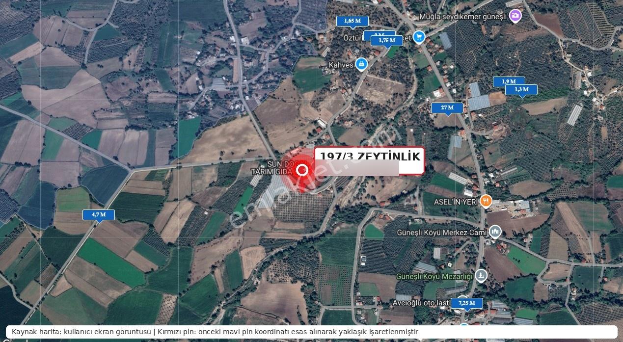 Seydikemer Güneşli'de 20.729 M² Gelir Getiren Butik Zeytinlik - Görsel 21