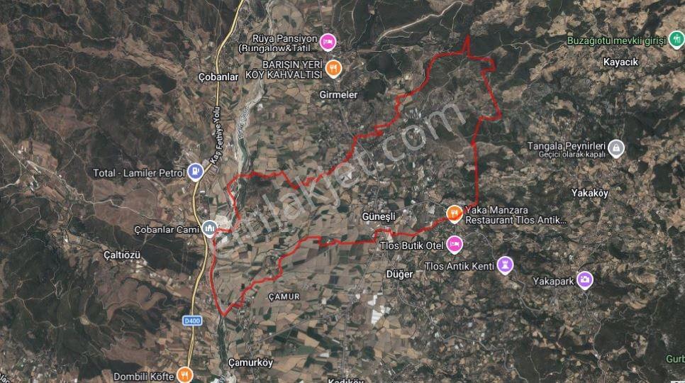 Seydikemer Güneşli'de 20.729 M² Gelir Getiren Butik Zeytinlik - Görsel 9