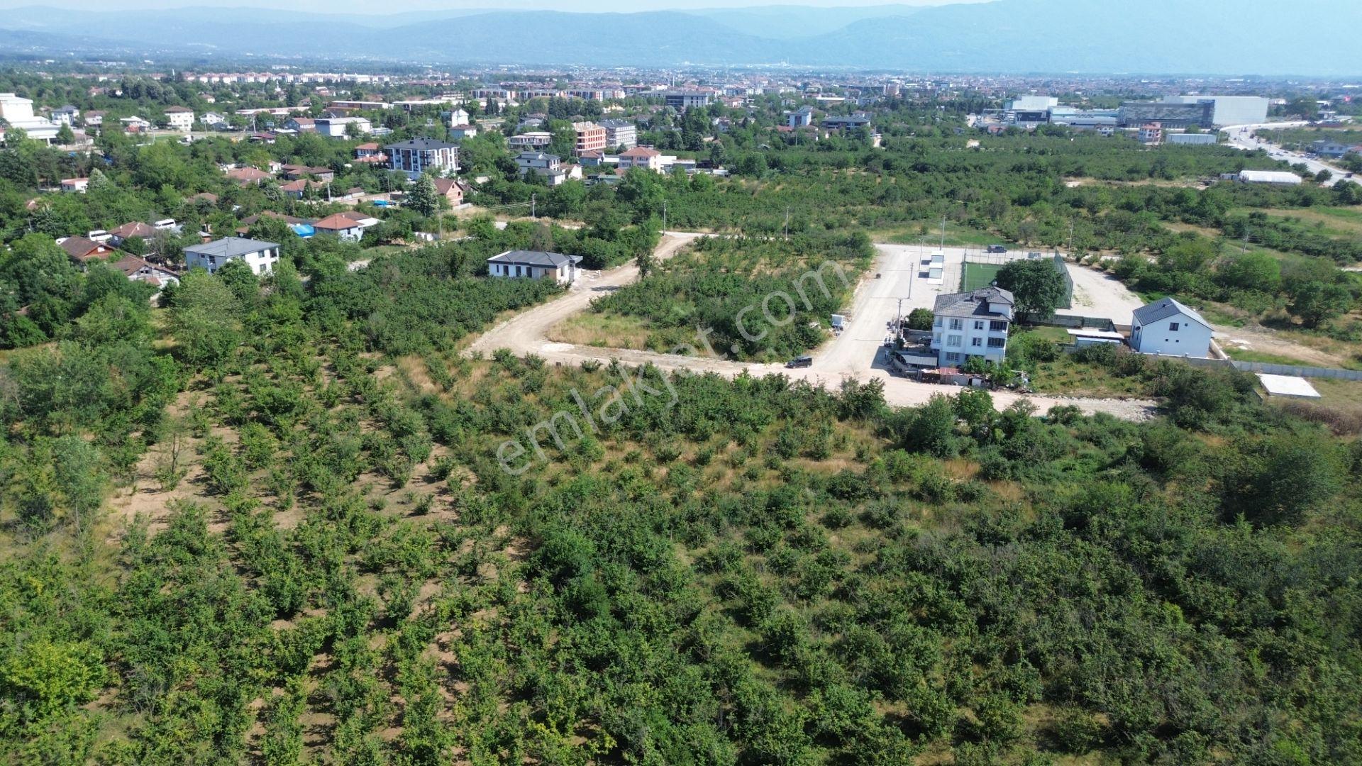 Düzce Merkez Çamköy Mh. Yatırıma Uygun Fırsat Arsa - Görsel 7