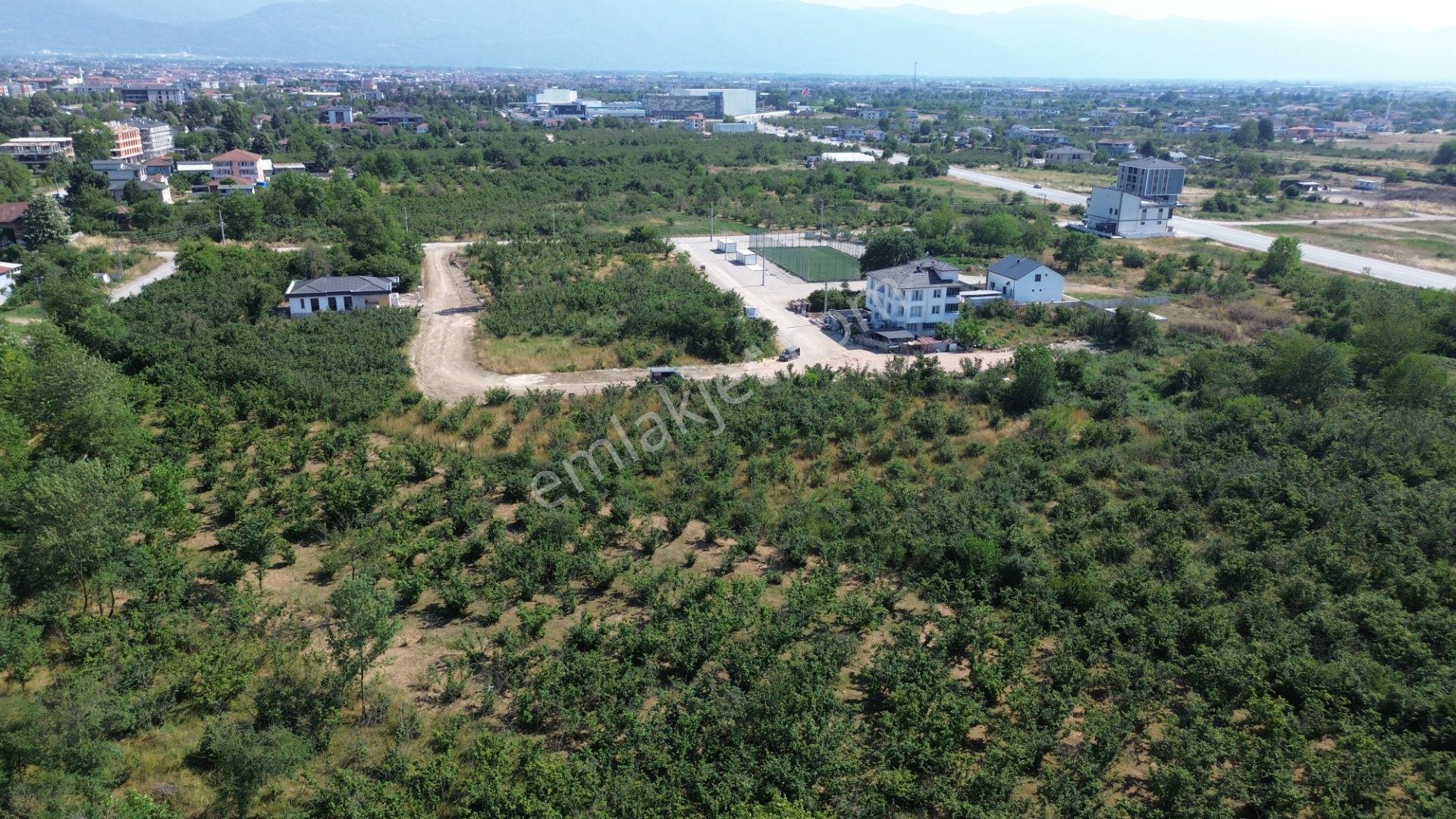 Düzce Merkez Çamköy Mh. Yatırıma Uygun Fırsat Arsa - Görsel 10
