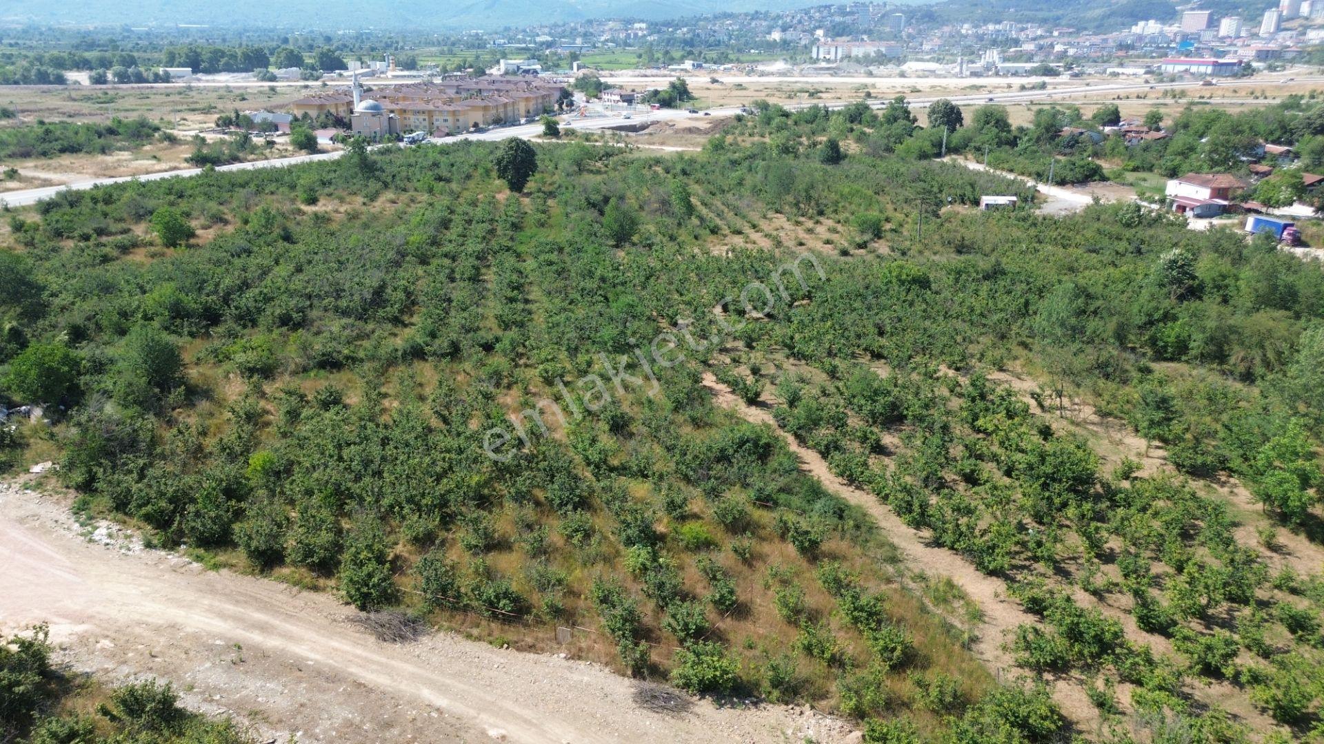 Düzce Merkez Çamköy Mh. Yatırıma Uygun Fırsat Arsa - Görsel 26