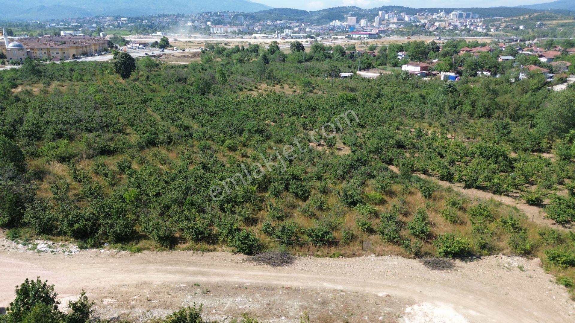 Düzce Merkez Çamköy Mh. Yatırıma Uygun Fırsat Arsa - Görsel 37