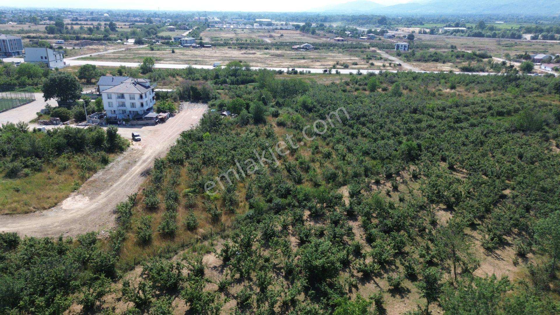 Düzce Merkez Çamköy Mh. Yatırıma Uygun Fırsat Arsa - Görsel 22