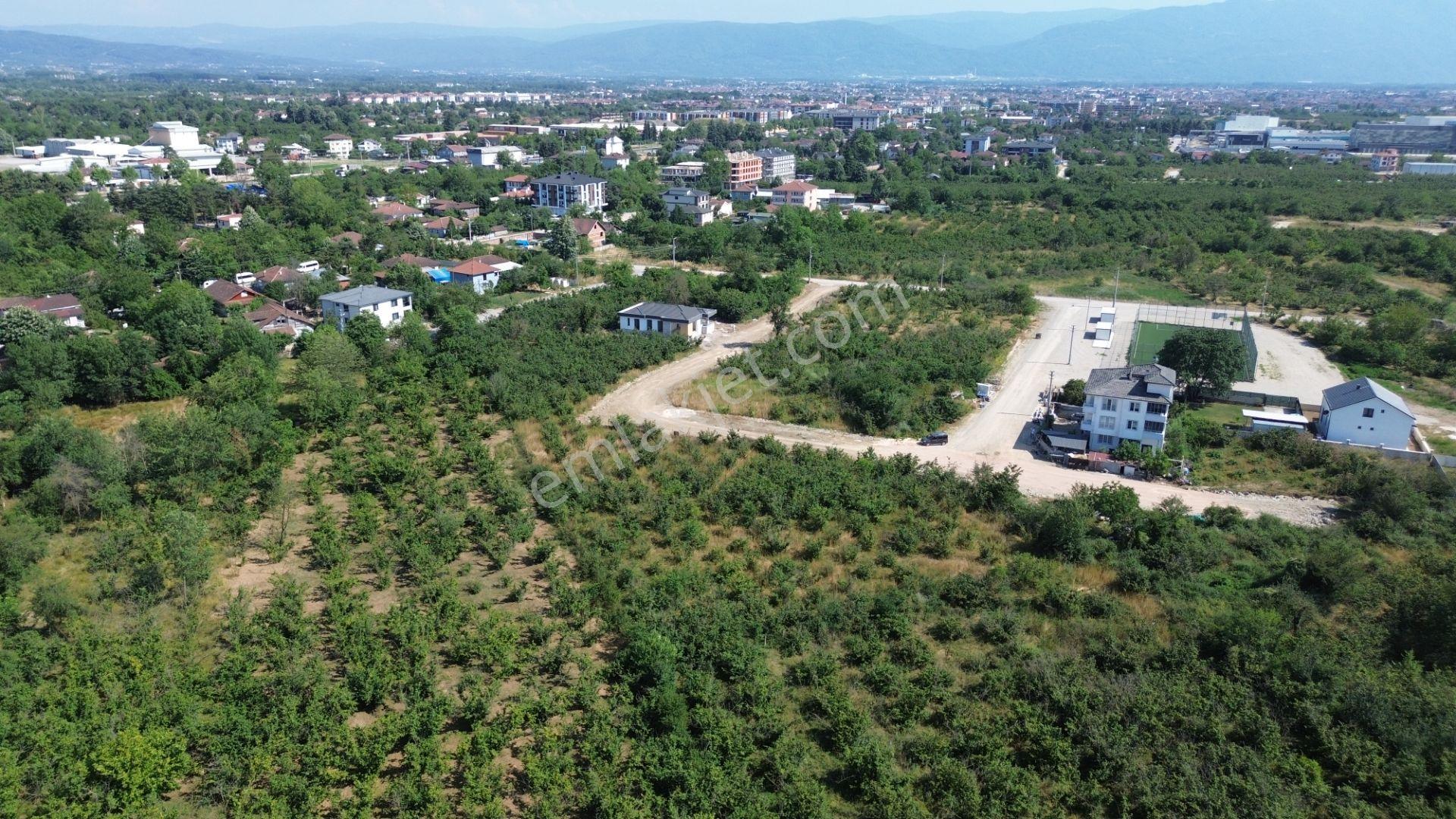 Düzce Merkez Çamköy Mh. Yatırıma Uygun Fırsat Arsa - Görsel 6