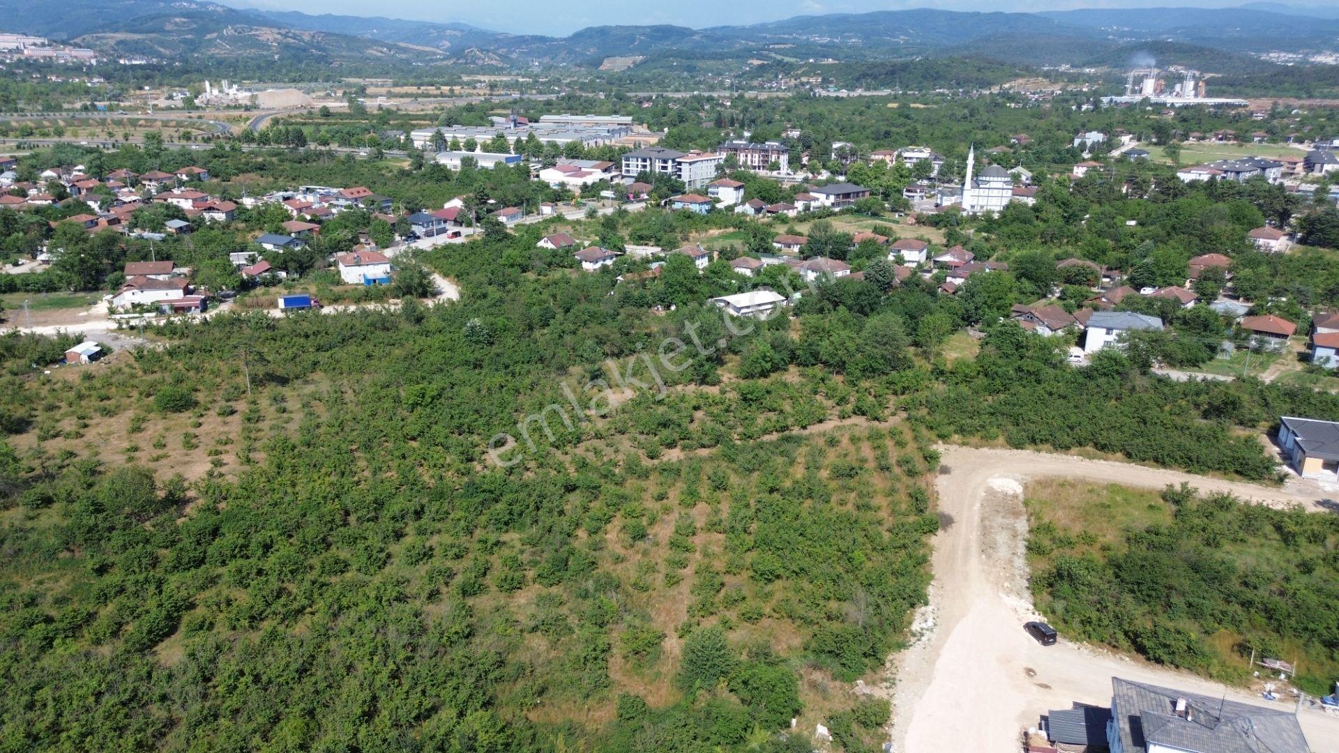Düzce Merkez Çamköy Mh. Yatırıma Uygun Fırsat Arsa - Görsel 17