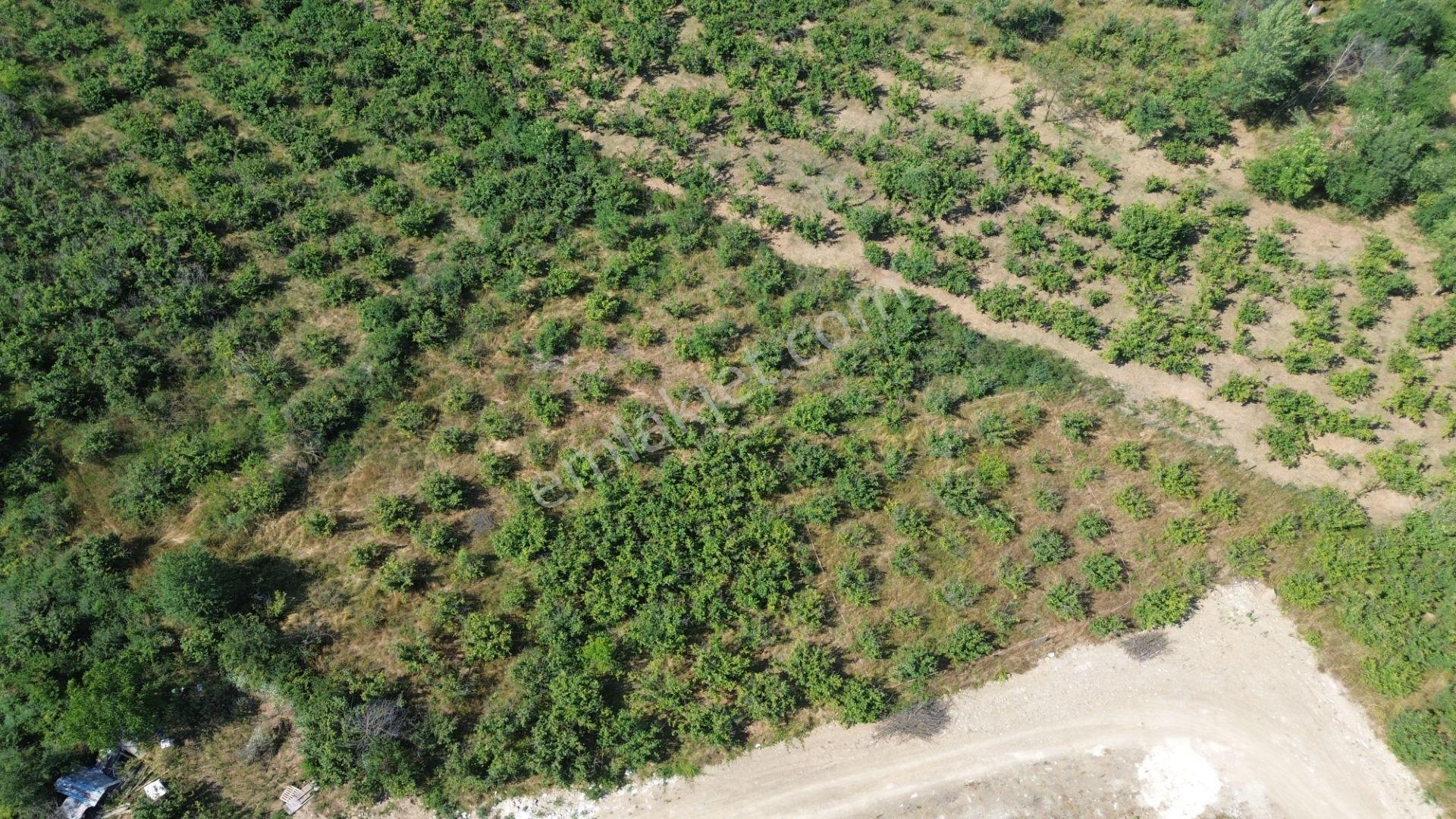 Düzce Merkez Çamköy Mh. Yatırıma Uygun Fırsat Arsa - Görsel 21