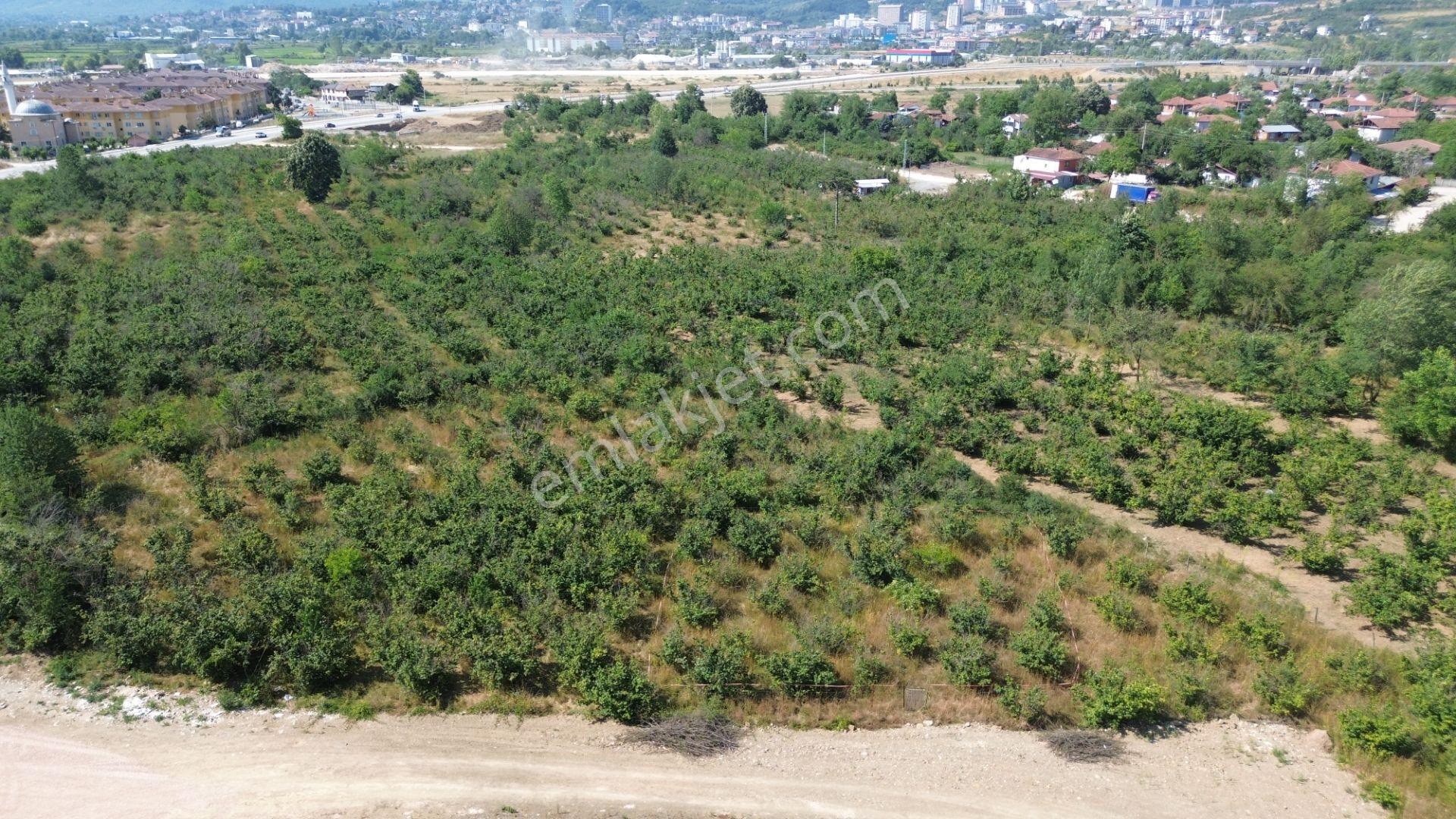 Düzce Merkez Çamköy Mh. Yatırıma Uygun Fırsat Arsa - Görsel 28