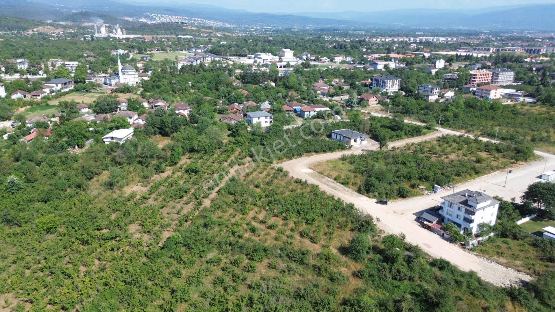 Düzce Merkez Çamköy Mh. Yatırıma Uygun Fırsat Arsa